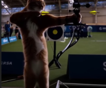 �� �����