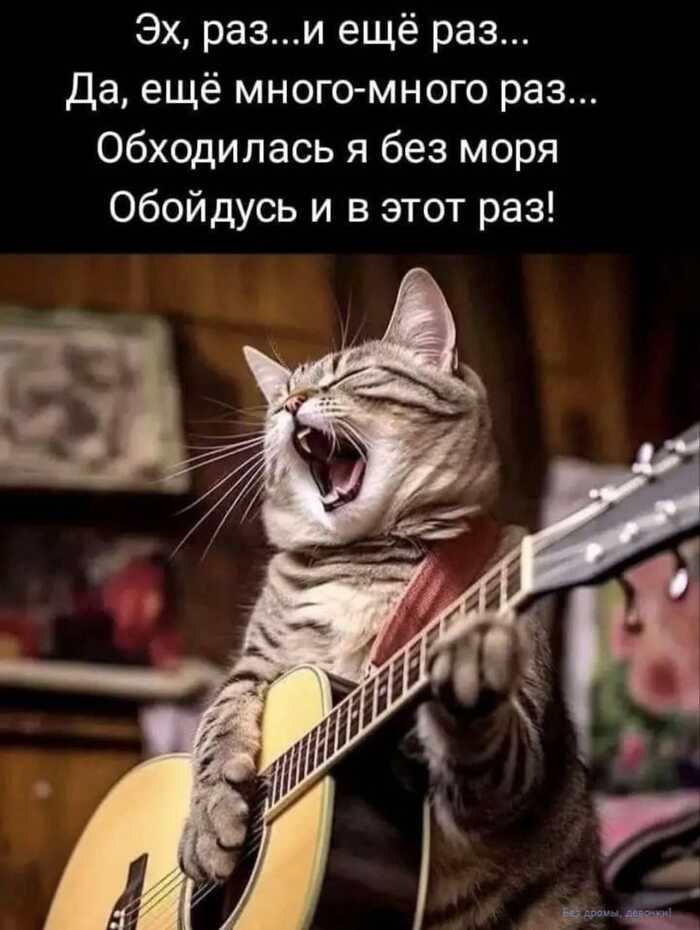 ,      ,  , , , , , , , 