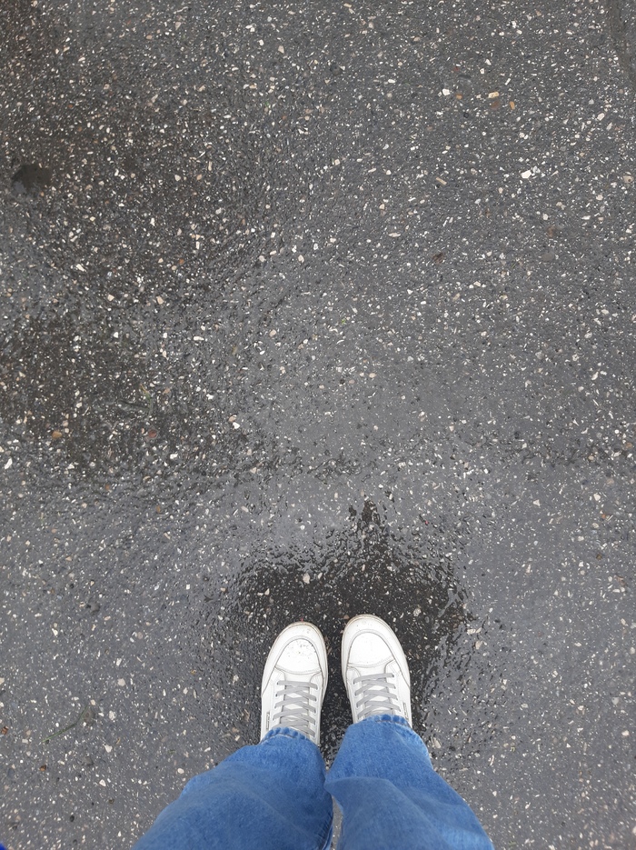   ,  ,  ,  