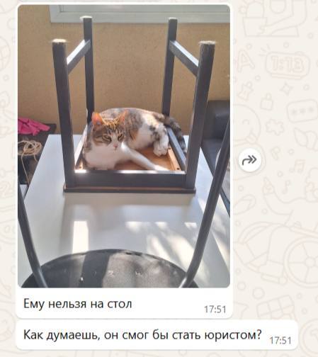        ! , , , , , Telegram ()
