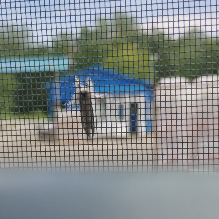               ,  , , 