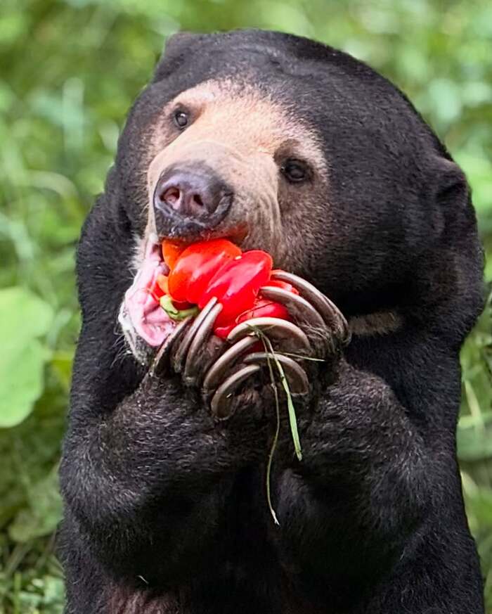       , ,  ,  , , , , 