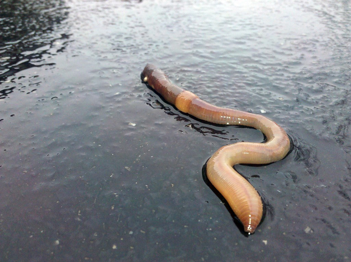 Это я выхожу из ванной, в которой пролежала 2,5 часа.