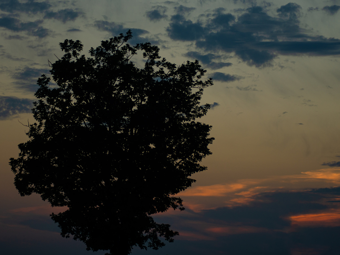  . 6.   , , , , ,  ,  , , , , , ,   , , , Nikon, ,  , ,   , 