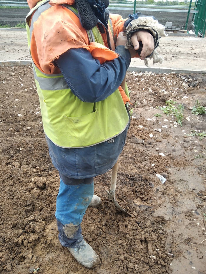  ,  , /    . ,  3  5 . 