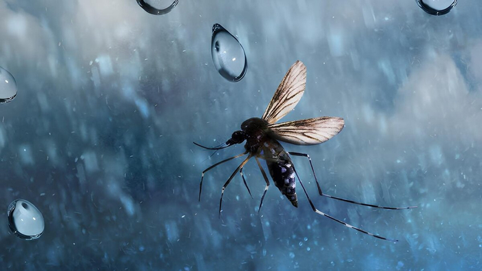 Получается, что быть толстяком в мире комаров — смертельно опасно!