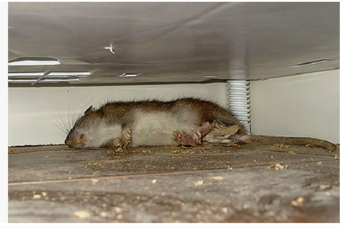         ...   +   ,     .      ,   ,         