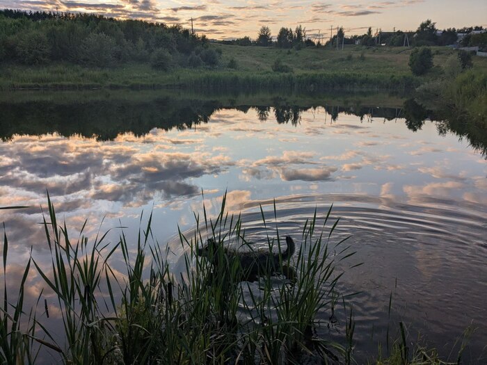 ������� � ����.