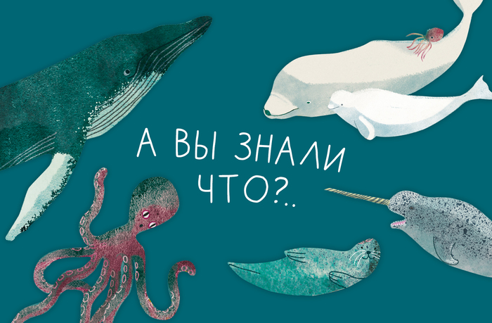     ?  , , , , ... ,  ,  ,   ,  ,  ,  , 