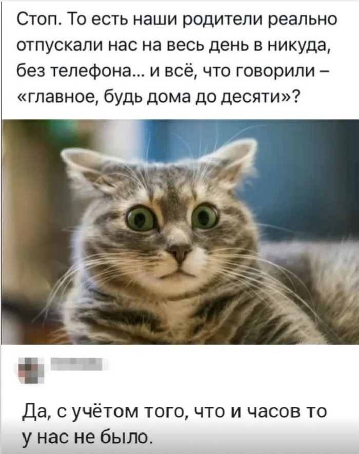     , , , ,   , , 