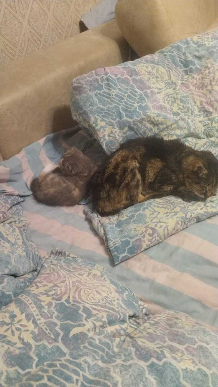    , , , ,  ,  , 