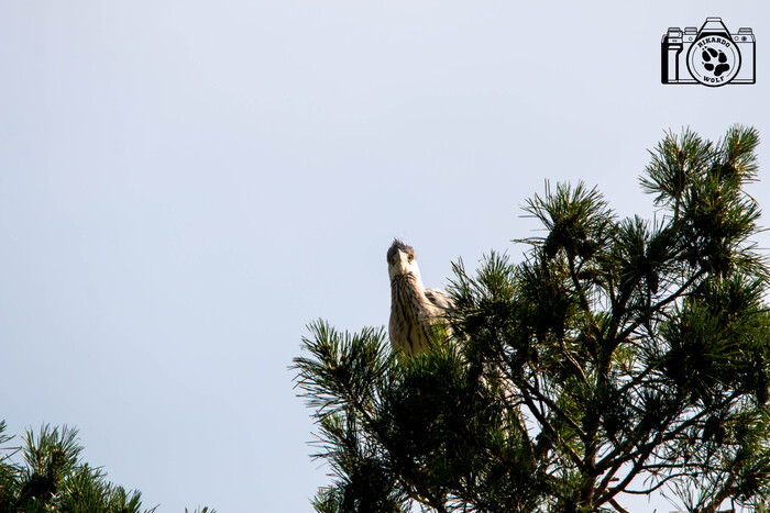 Камеру убрал!