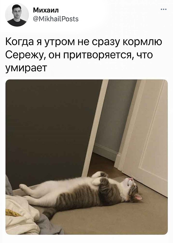 ������
