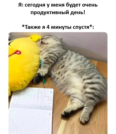   ,   , , , , Telegram ()