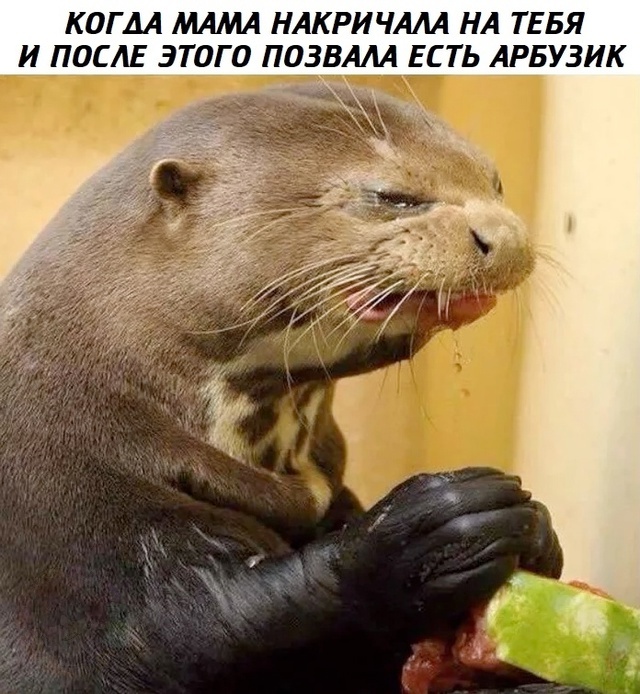    , , , 