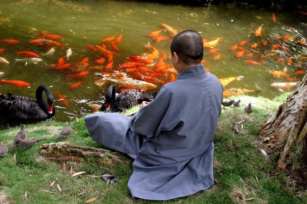 Самое-самое слово... Детский журнал, Лучик, Лингвистика, Русский язык, Иностранные языки, Культура, Длиннопост