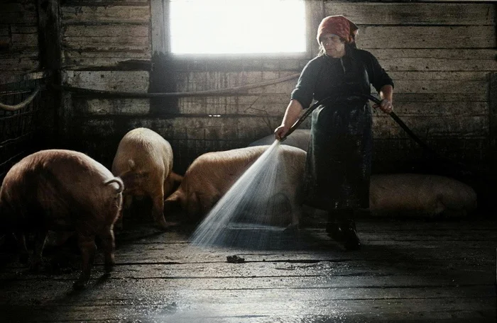 Подборка простых и потрясающих фотографий эпохи СССР. 20 раскрашенных фотографий. Часть 26 20 век, Старое фото, Фотография, СССР, Детство в СССР, 60-е, 70-е, 80-е, 50-е, Колоризация, Длиннопост