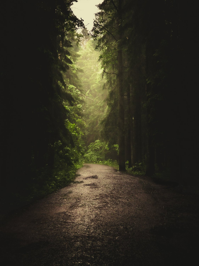 Фото: <a href="https://pikabu.ru/story/luch_sveta_v_tyomnom_tsarstve_12900869?u=https%3A%2F%2Frtraveler.ru%2Fphoto%2F1476370%2F%3Fnew_photos%3D1&t=%D0%BE%D1%82%D1%81%D1%8E%D0%B4%D0%B0&h=b49a080a2654710c006da6d0ac95204545e83a32" title="https://rtraveler.ru/photo/1476370/?new_photos=1" target="_blank" rel="nofollow noopener">отсюда</a>