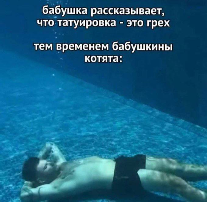      ,  , , , ,   , , Telegram ()