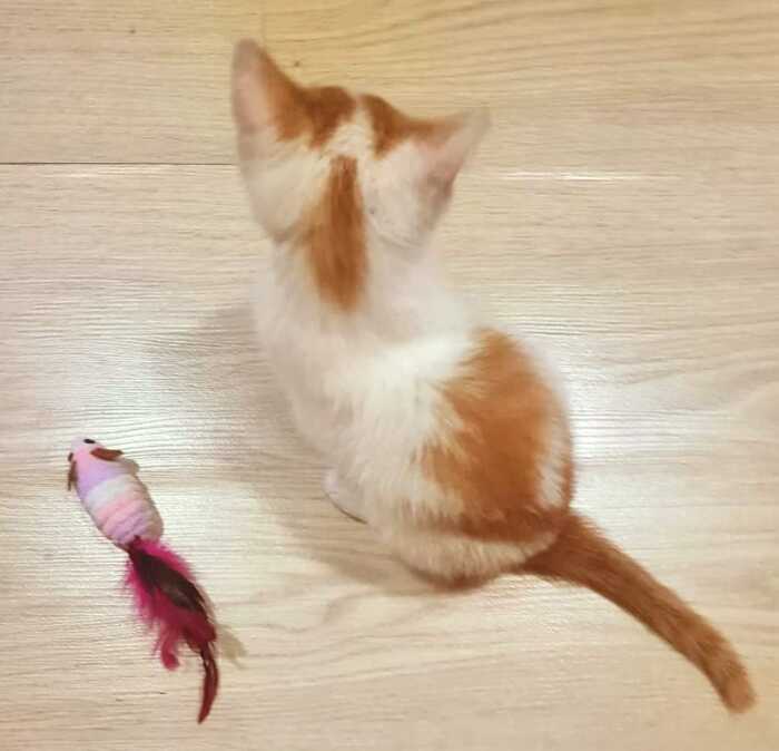       ,  ,  , ,  , , ,  (), , 