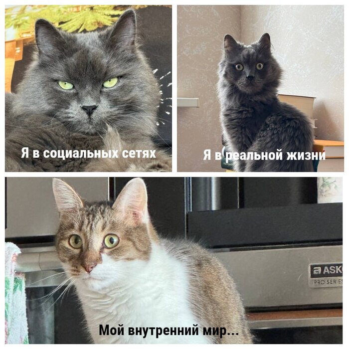 Мой внутренний мир