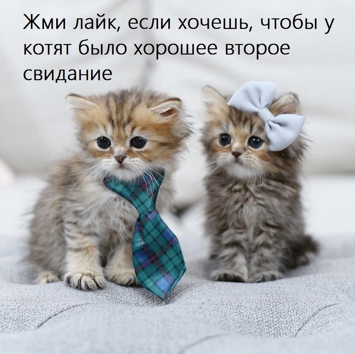  :    ? , , , , ,  , , , , , 