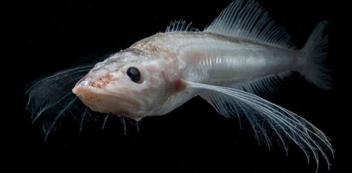  ,   .   ,     ,    .