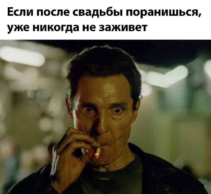     ,  , , Telegram (),   