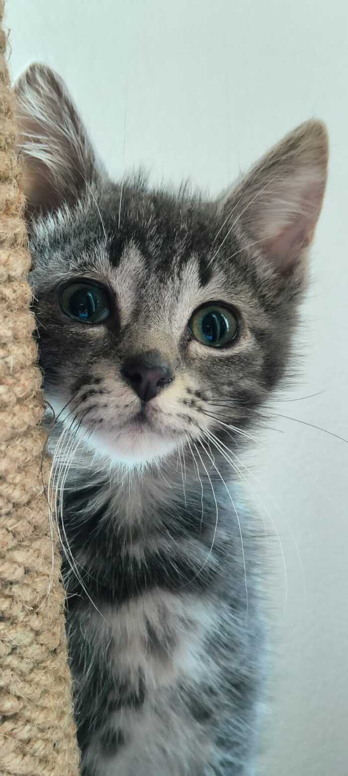   ,   , ,  , ,  , , ,  , 