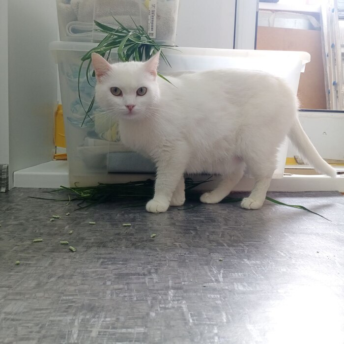 ������ ������� �� ���������� �� ������������ ��������� � ������)