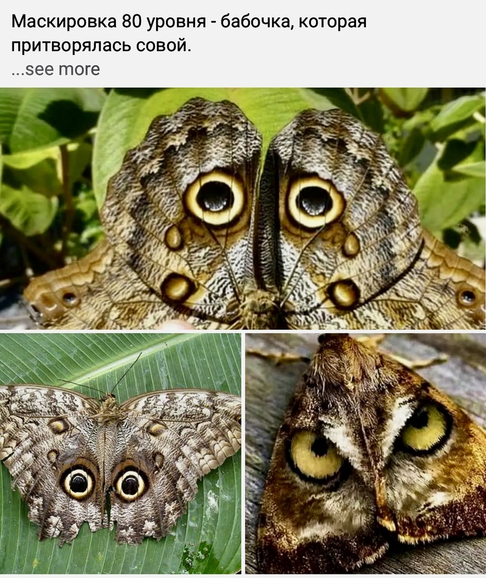   , 