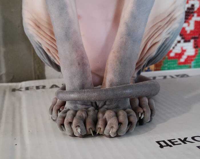  ,   
