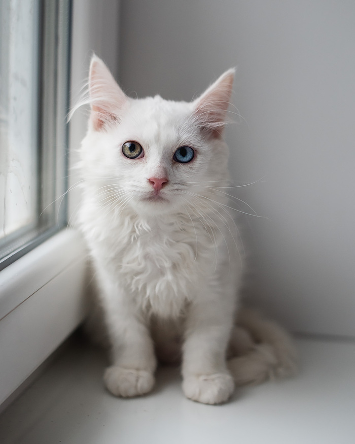 Москва и МО