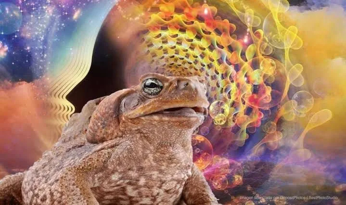   , ˸ , It Is Wednesday My Dudes, , 
