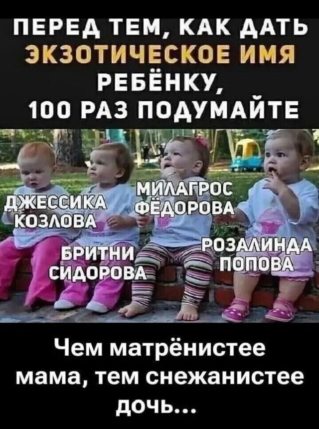  , Telegram (),   ,   ,  , 