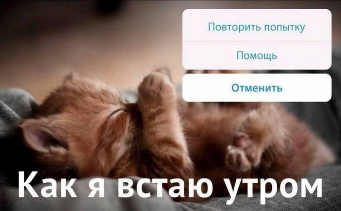       , , ,   