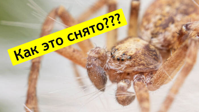   ? (  ) , , , , YouTube