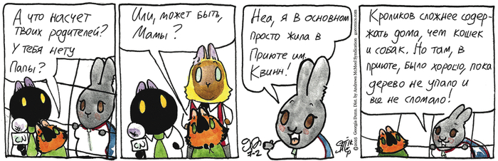    02.07.2025 , ,   (), 