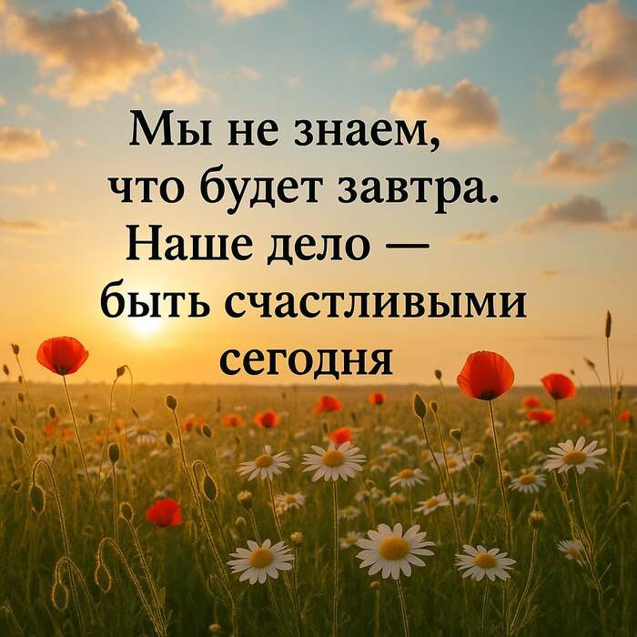    22 , ,   , , , ,  ()