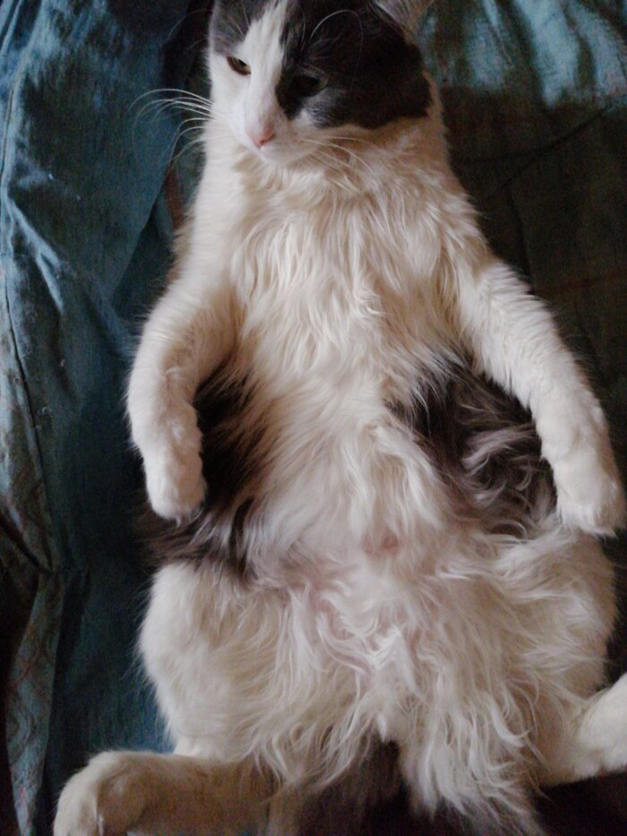    ,  , , , 