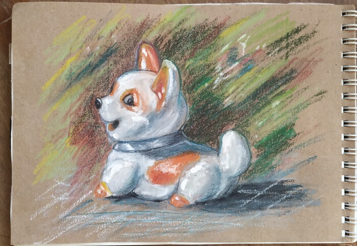 Собака-улыбака в Останкино