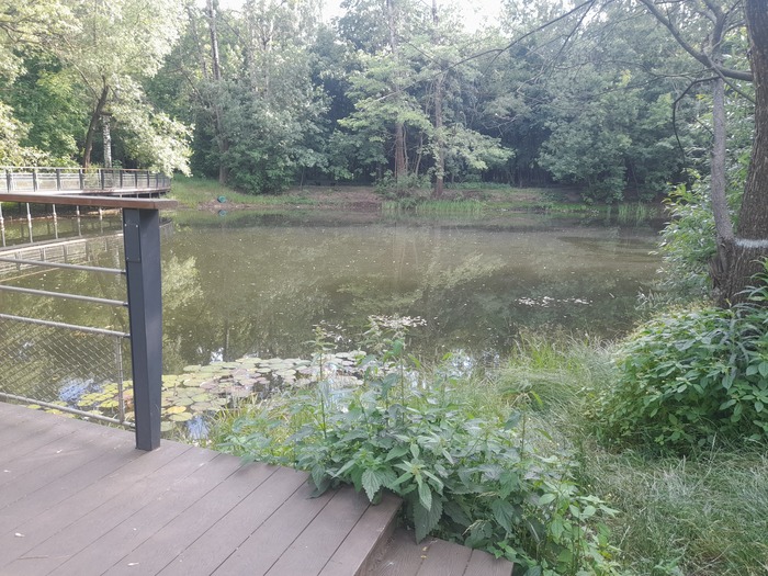 Локасинский пруд