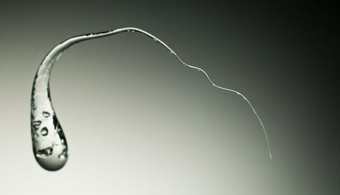 Я сегодня узнал...