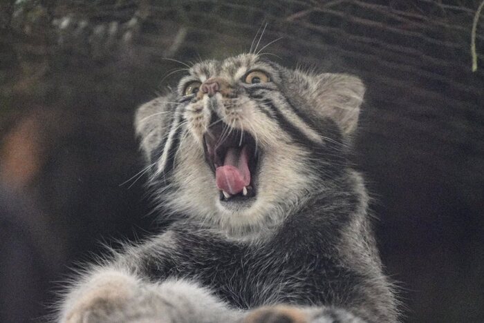 С пятничкой!!!