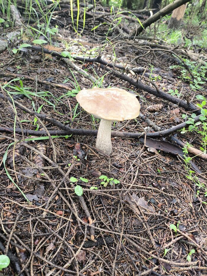 День второй - Дружба