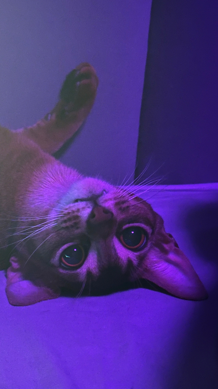  ,  , ,  , 