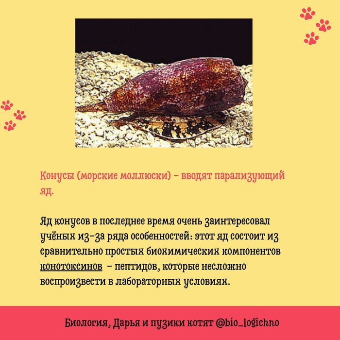   :          , , , Telegram (), 