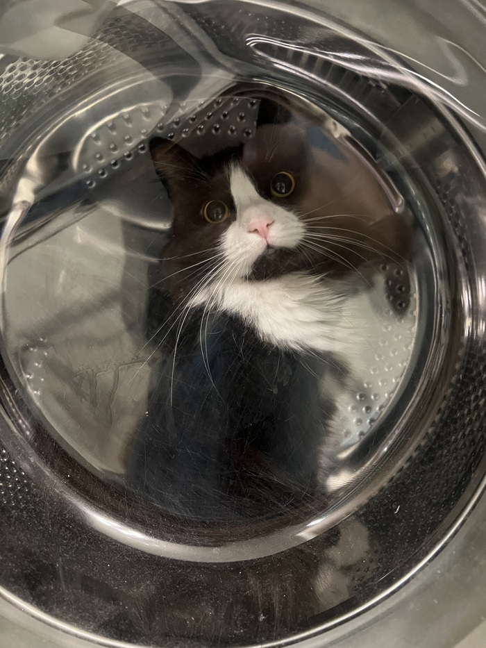 Полет к звездам в стиральной машине