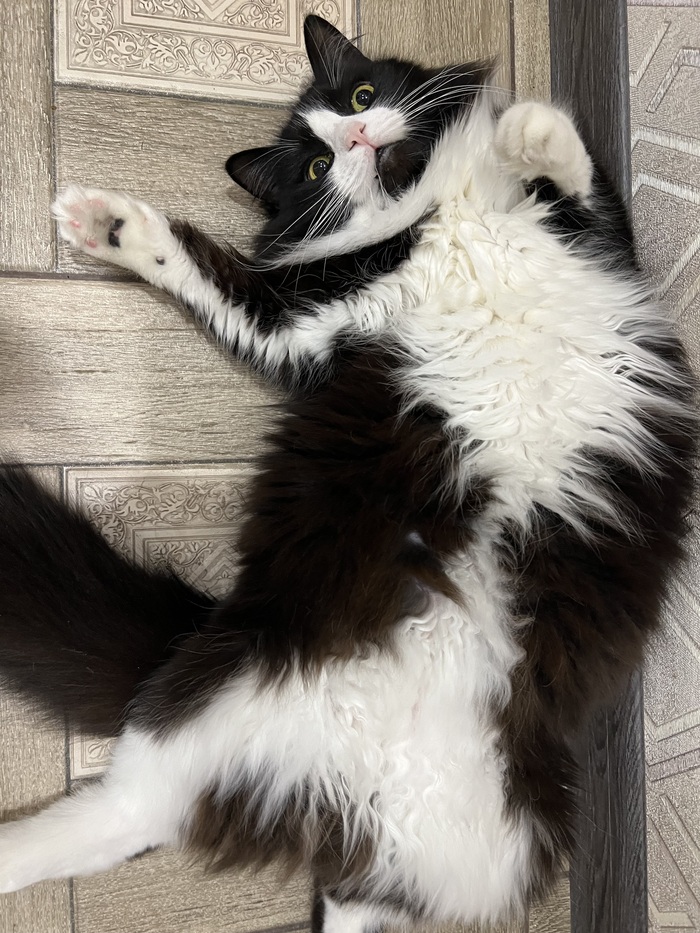 Поймана на месте преступления