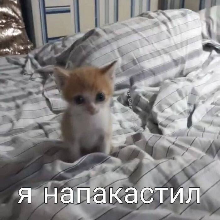              , ,   , , , 